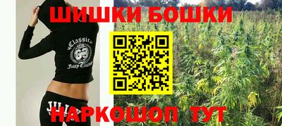 прущие крисы Тула