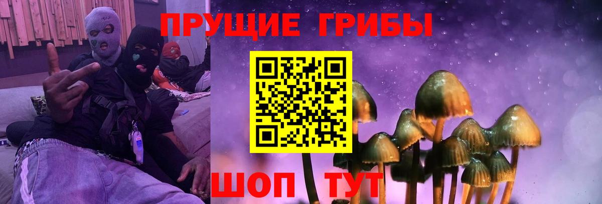Псилоцибиновые грибы Psilocybine cubensis  цена   Вход с VPN  Нарткала  Псилоцибиновые грибы ЛСД 